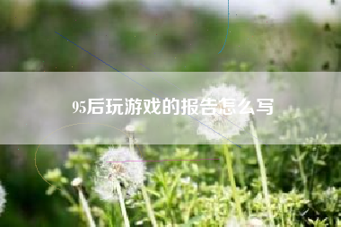 95后玩游戏的报告怎么写