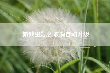 游戏里怎么取消自动升级