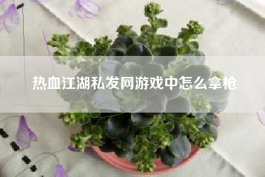 热血江湖私发网游戏中怎么拿枪