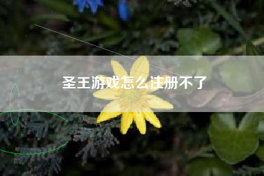 圣王游戏怎么注册不了
