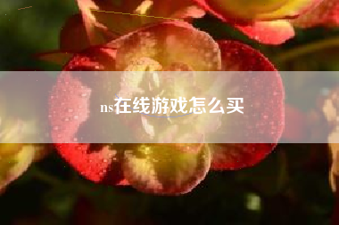 ns在线游戏怎么买