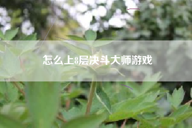 怎么上8层决斗大师游戏