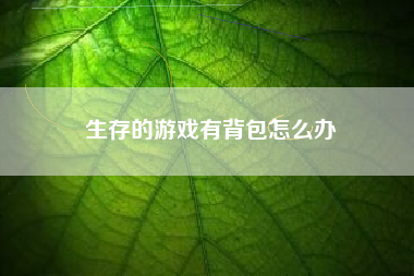 生存的游戏有背包怎么办