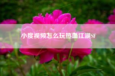 小度视频怎么玩热血江湖SF