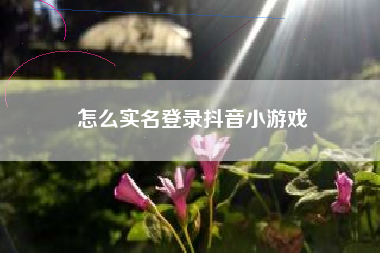 怎么实名登录抖音小游戏