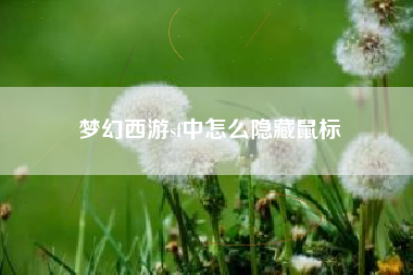 梦幻西游sf中怎么隐藏鼠标