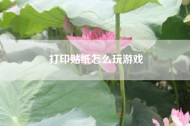 打印贴纸怎么玩游戏