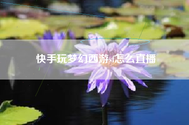 快手玩梦幻西游sf怎么直播