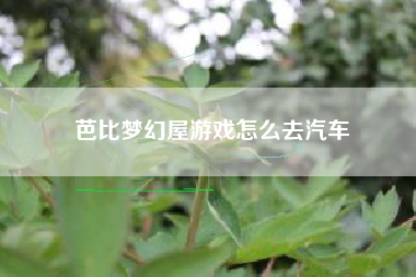 芭比梦幻屋游戏怎么去汽车