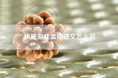 快吧游戏盒用语文怎么说