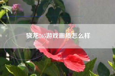 骁龙765游戏画质怎么样