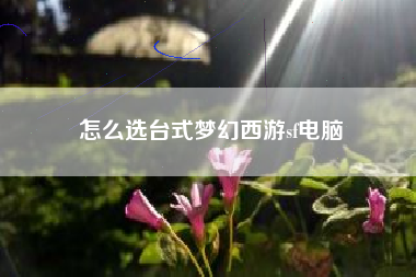 怎么选台式梦幻西游sf电脑