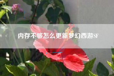 内存不够怎么更新梦幻西游SF