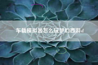 车载模拟器怎么玩梦幻西游sf