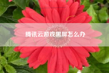 腾讯云游戏黑屏怎么办