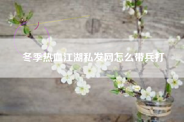 冬季热血江湖私发网怎么带兵打