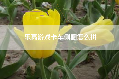 乐高游戏卡车侧翻怎么拼