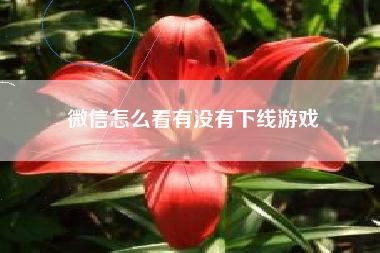 微信怎么看有没有下线游戏
