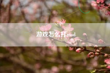 游戏怎么打mod