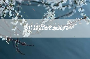 芯片封装怎么玩游戏