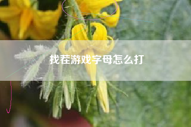 找茬游戏字母怎么打