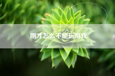 刚才怎么不能玩游戏