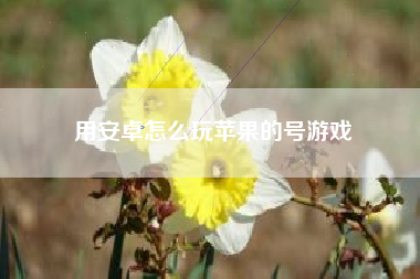 用安卓怎么玩苹果的号游戏