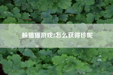 躲猫猫游戏2怎么获得珍妮