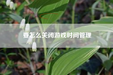 要怎么关闭游戏时间管理