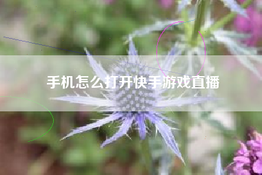 手机怎么打开快手游戏直播