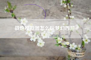 战地模拟器怎么玩梦幻西游sf