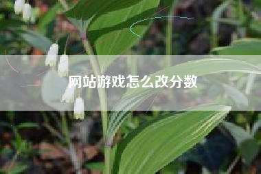 网站游戏怎么改分数