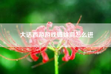 大话西游游戏蟾蜍洞怎么进