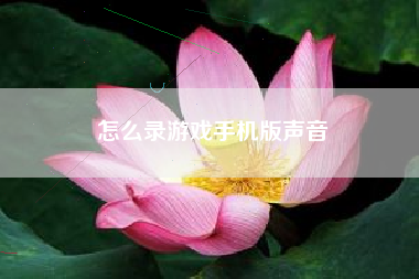 怎么录游戏手机版声音
