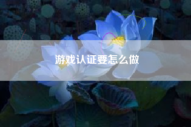 游戏认证要怎么做