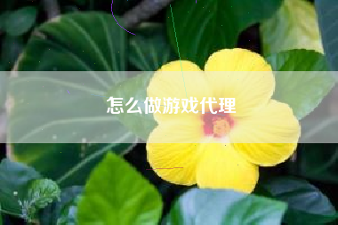 怎么做游戏代理