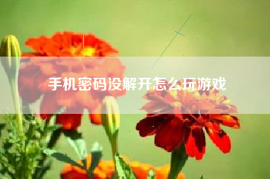 手机密码没解开怎么玩游戏